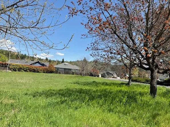 576 Quiet Pl, Murphys, CA 95247