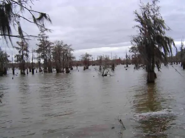 Flintview Dr, Cordele, GA 31015