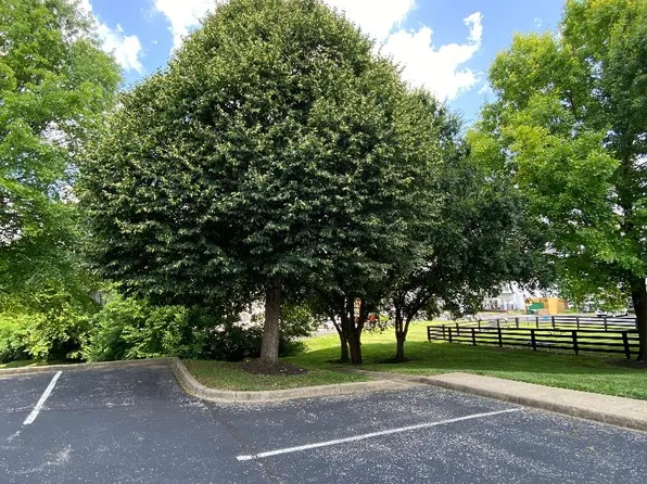 Willow Oaks Apartments