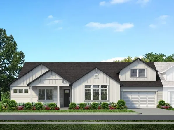 Adelaide Plan, Bella Vita