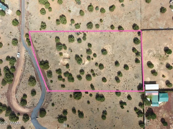 8519 Lyzniack Pl, Show Low, AZ 85901