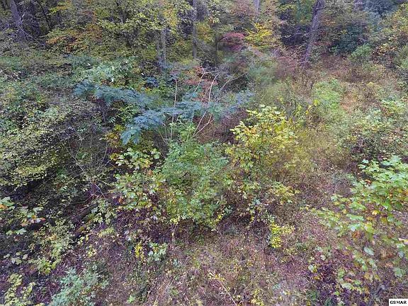 5th image of 0 Ball Hollow Rd Lot 1