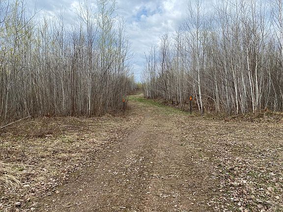 2nd image of Near Wilson Lake Rd