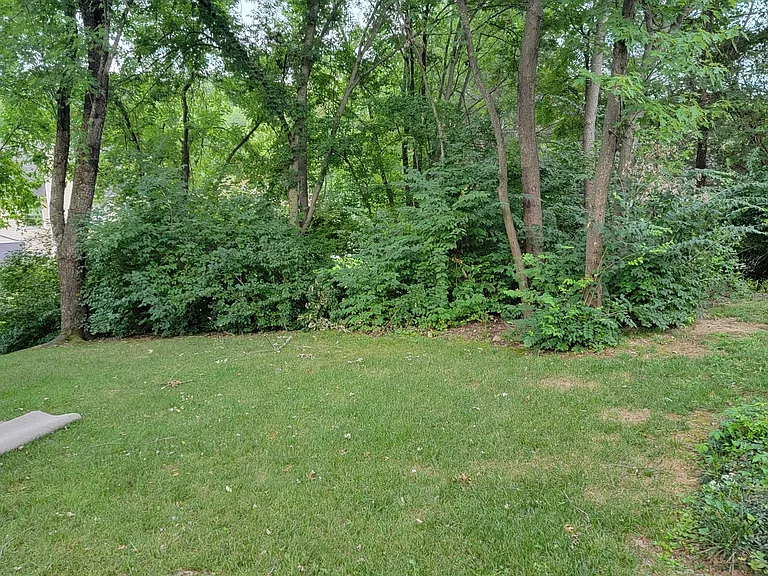 411 Woodsman Ct — Photo 23