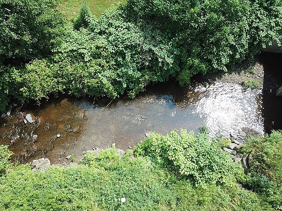Leonards Creek next to House
