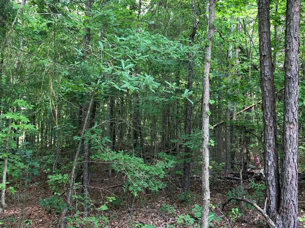 0 Pulliam Tingen Mine Rd, Roxboro, NC 27574