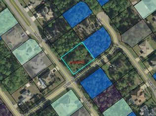 2 Llach Ct, Palm Coast, FL 32164