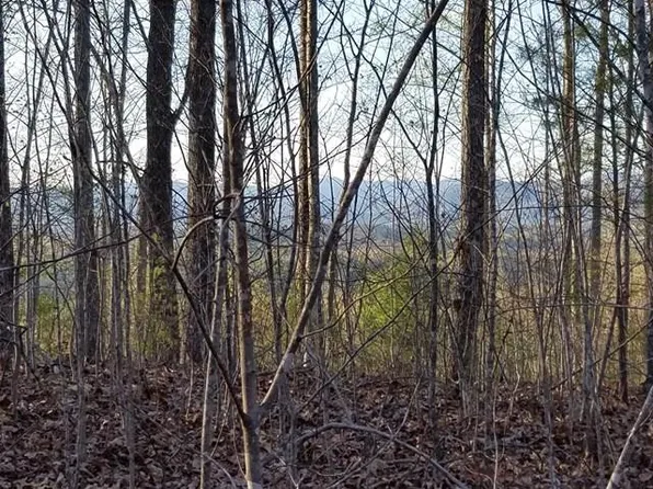 0 Dasali Way #43, Murphy, NC 28906