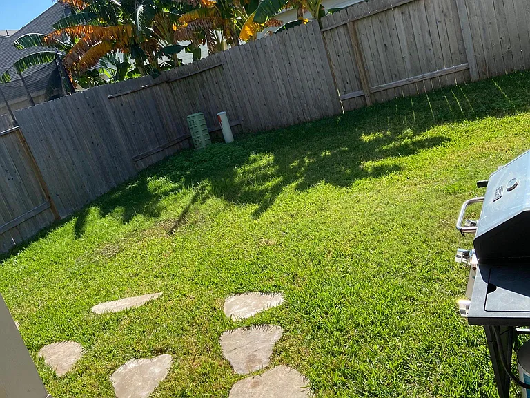 View of the backyard from the back door / patio