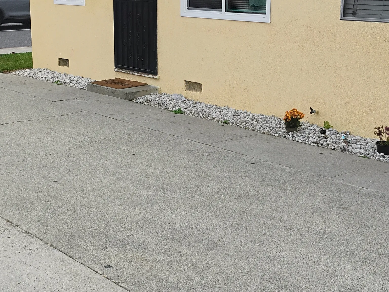 1 bed, 550 sqft, $1,900 — Photo 3