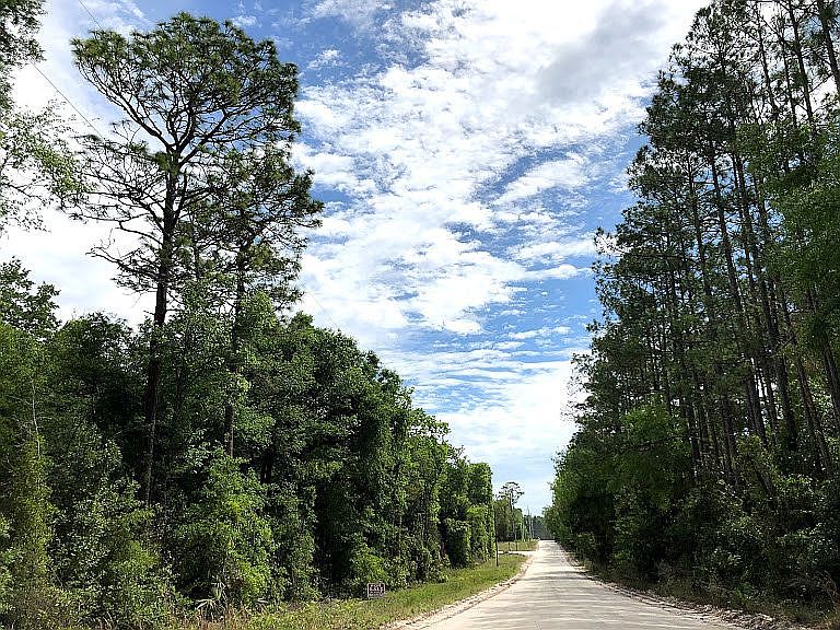 2nd image of Drawdy Rd