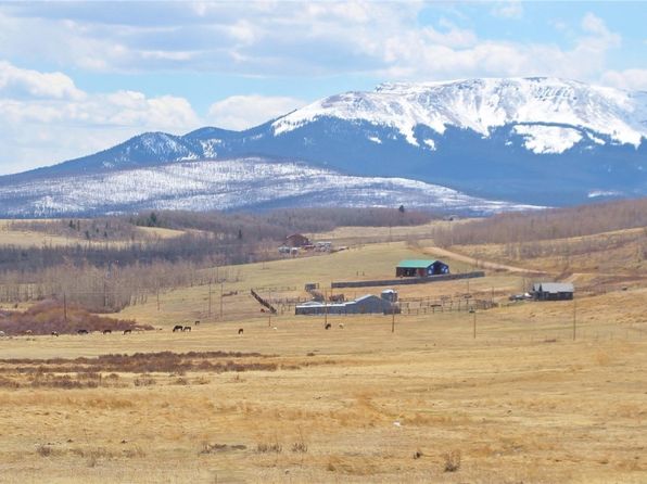 2000 County Road 5, Fairplay, CO 80440
