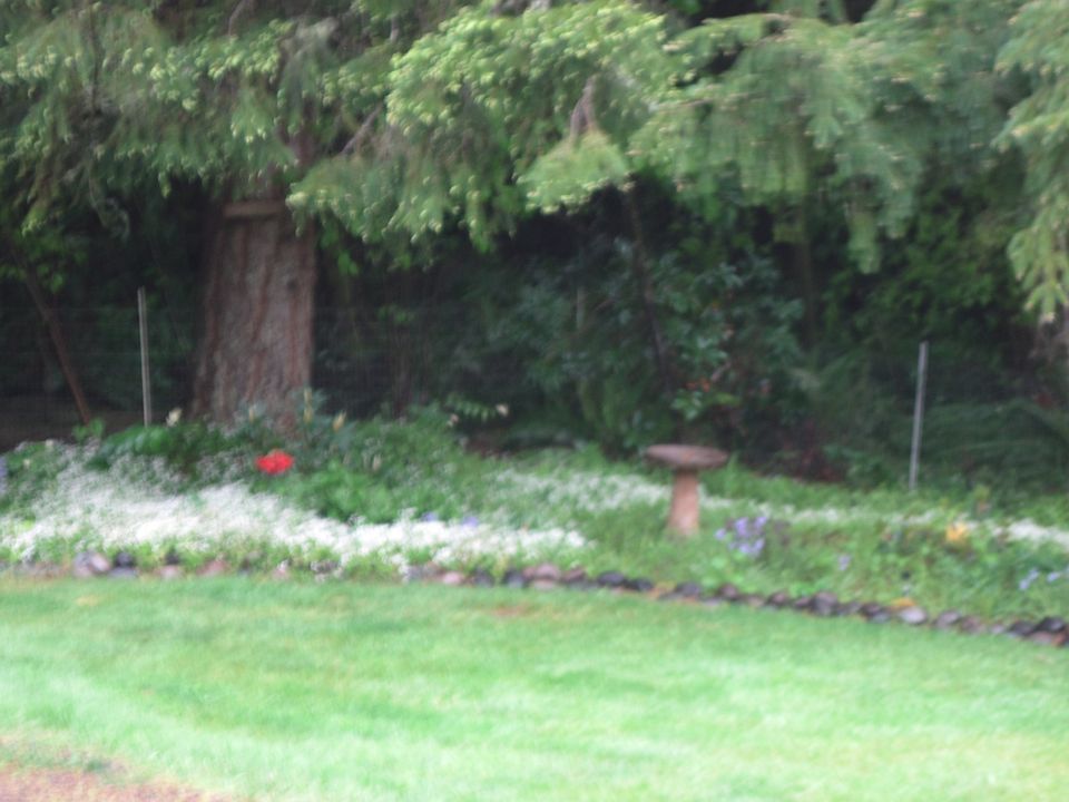 One of the gardens