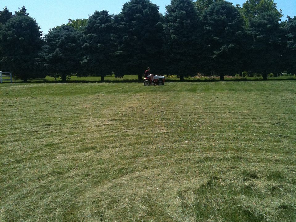 View from the road Back