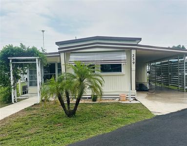 239 Rue De Fontaine, Tavares, FL, 32778