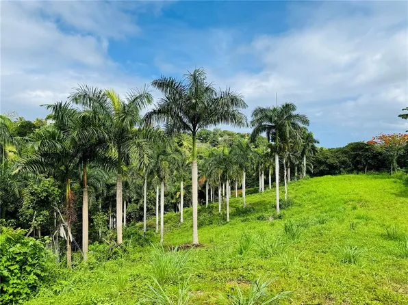 Carretera 416 Km 3.0 Bo Piedras Blancas, Aguada, PR 00602