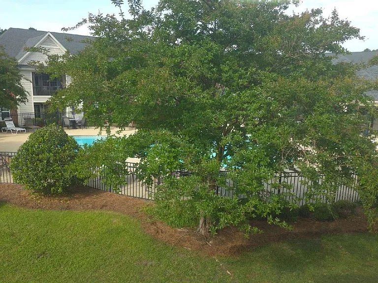 321 Gallery Dr #202 — Photo 27