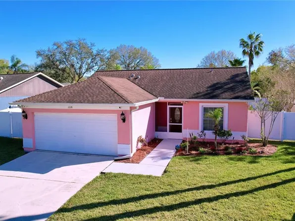 11116 Bloomington Dr, Tampa, FL 33635