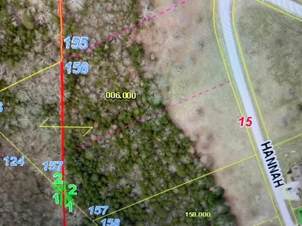 Lot 157 Hannah Circle, Cape Fair, MO 65624