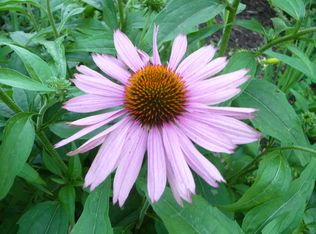 835 N Trooper Rd, Eagleville, PA 19403