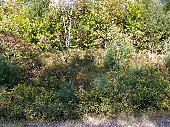 3rd image of Fenn Way Circle #29