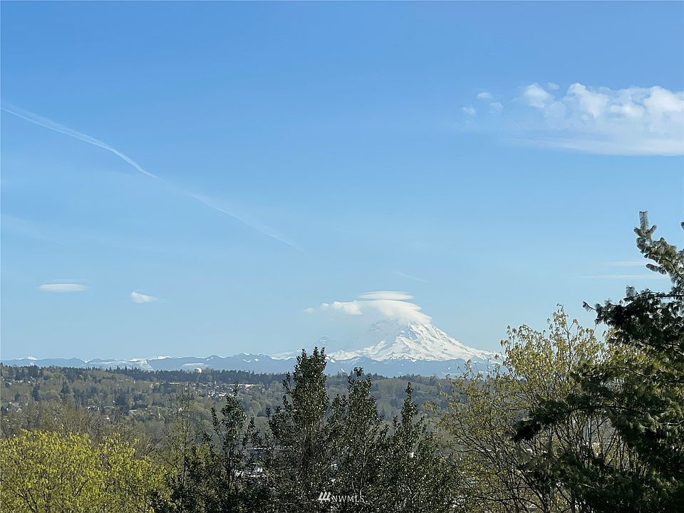 Majestic Mt Rainier as seen from the deck, not shot from a drone above the house!