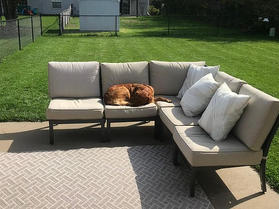 Newly fenced in backyard with large patio. Not pictured: storage shed.