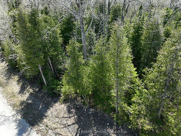 4th image of LOT 10 Trillium Cross