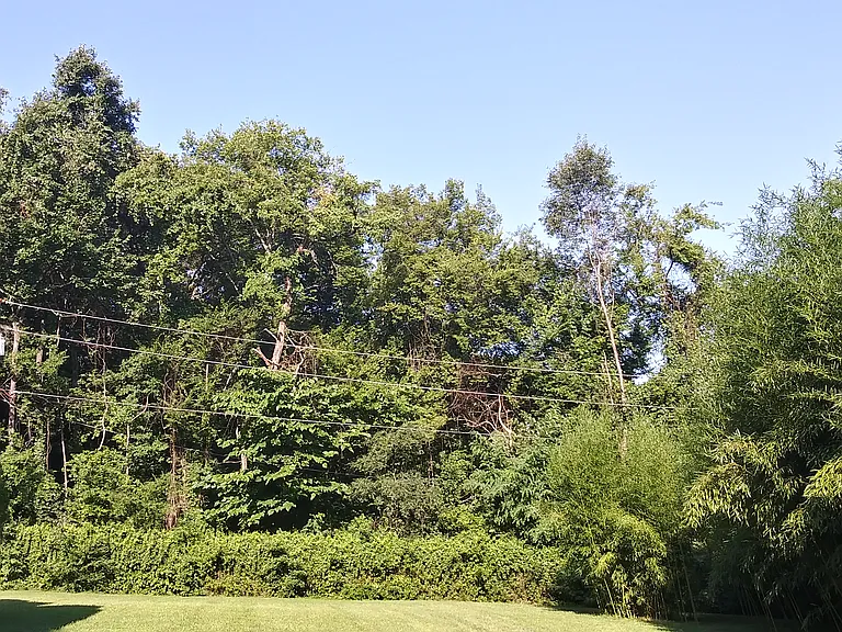 646 Greenwood Dr — Photo 23