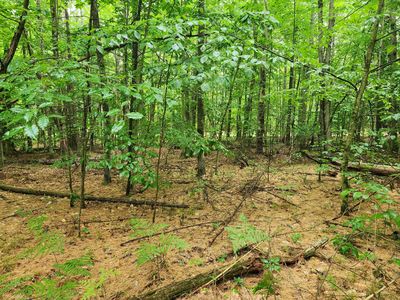 0 Aspen St, Jay, NY, 12941
