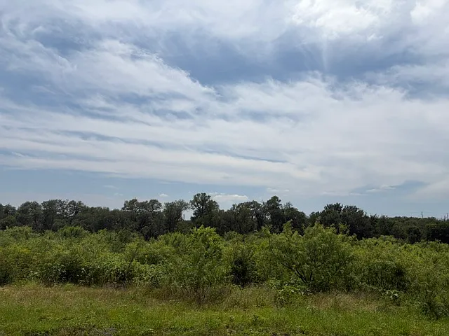 1020 Vista View Dr #1201 — Photo 3