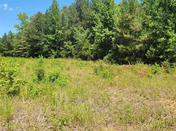 0 Driskell Bridge Rd, Harleton, TX 75651