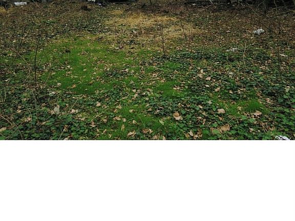 4th image of 202 City Terrace