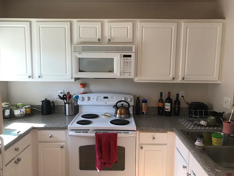 7405 Charmant Dr — Photo 9