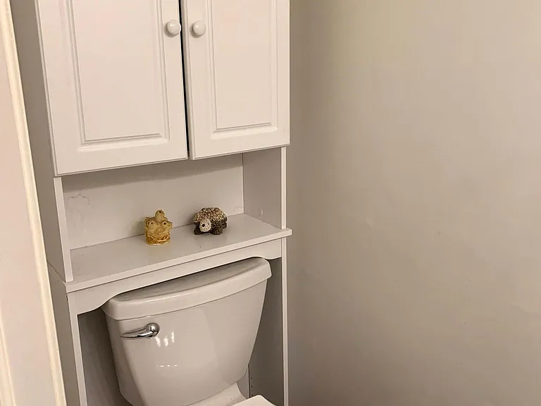 Half bath downstairs