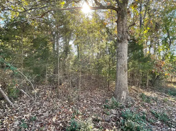 9 & 10 Bull Shoals Dam Blvd, Bull Shoals, AR 72619