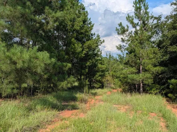 0 Nelson Ln, Louisville, GA 30434
