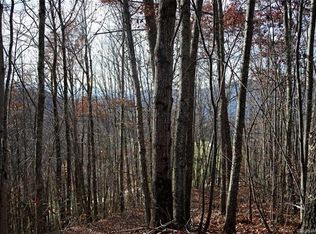 64 Haulback Way, Sylva, NC 28779