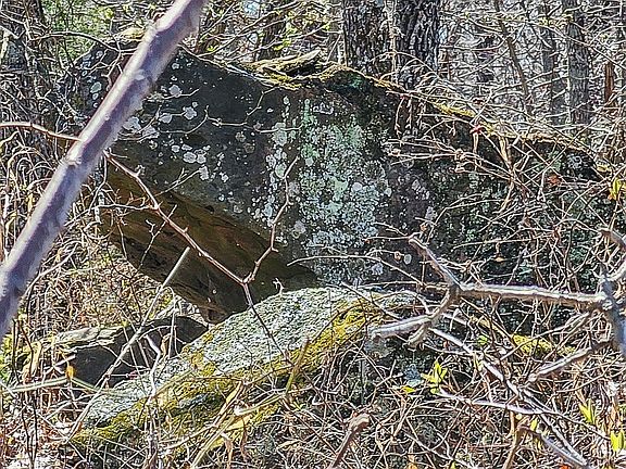 5th image of 12 Lenna Rd