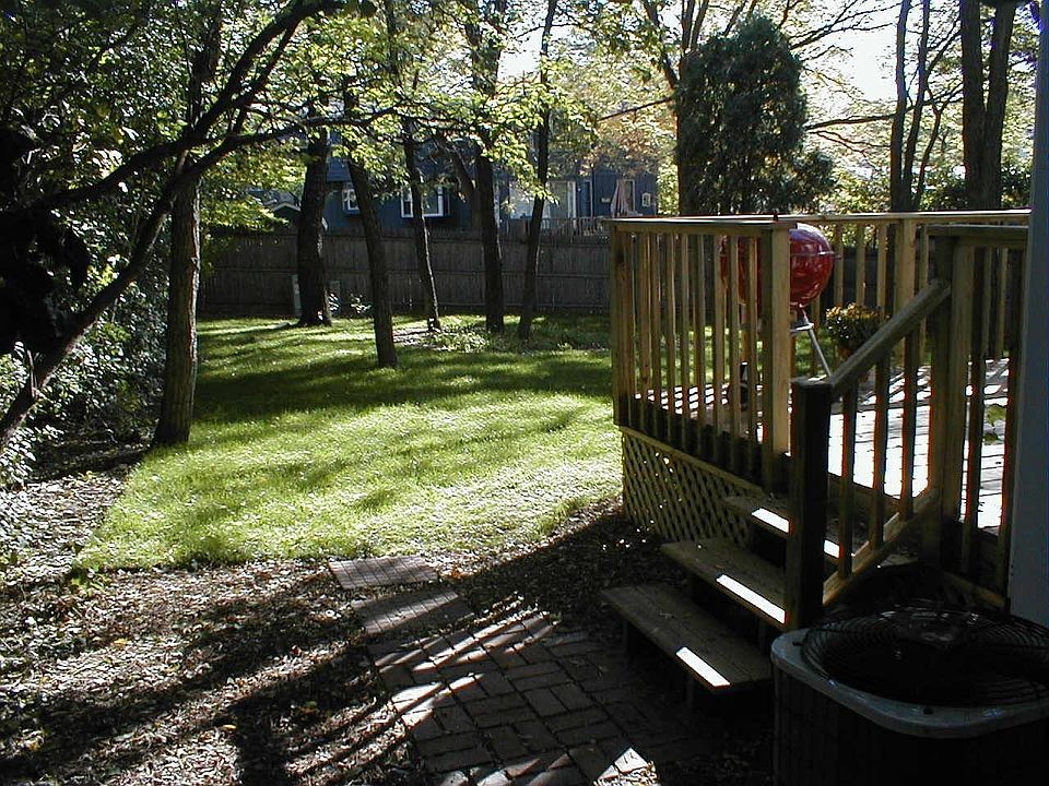 Back yard