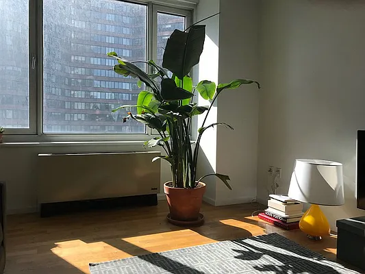 Rented by Raz Realty | media 9