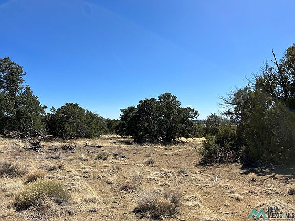 3rd image of 89 Ponderosa Dr