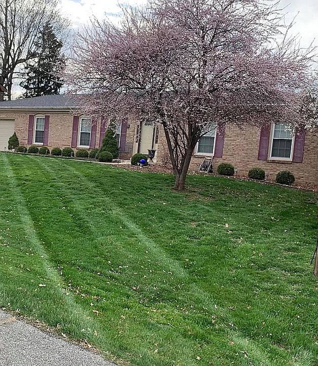1st image of 182 Balsam Ct