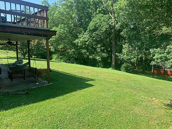Overlooking Mature Oak Trees