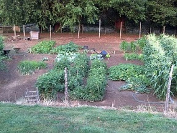 Garden