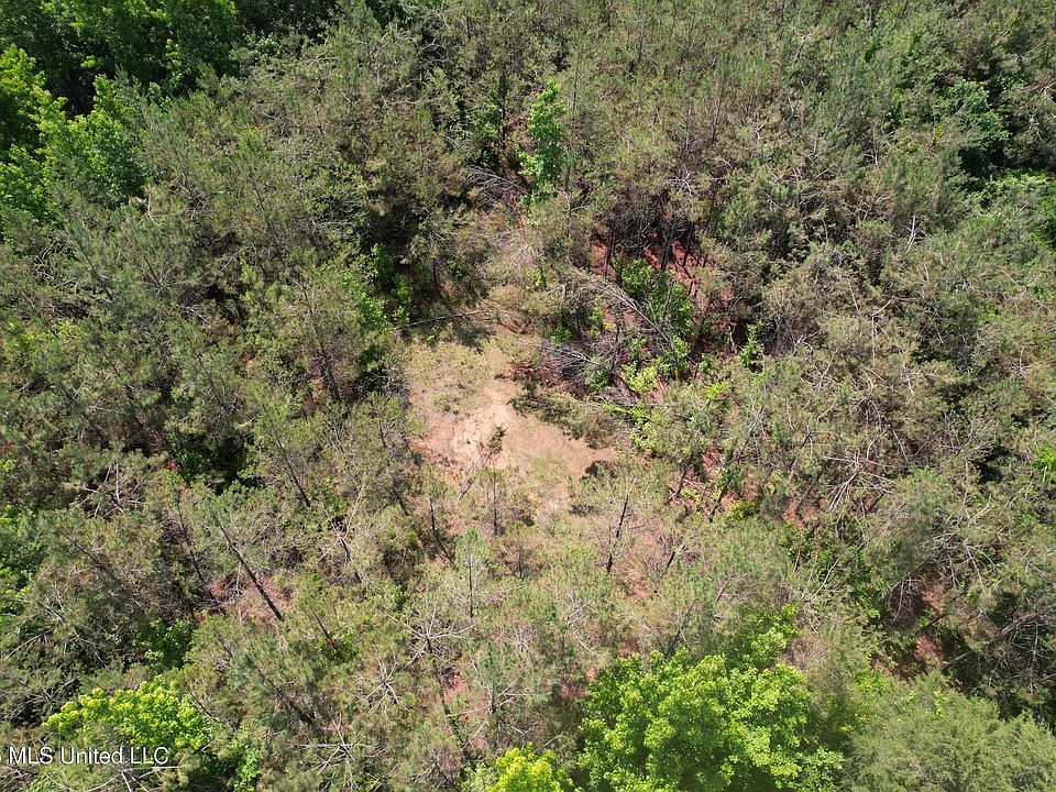 1st image of West Blvd
