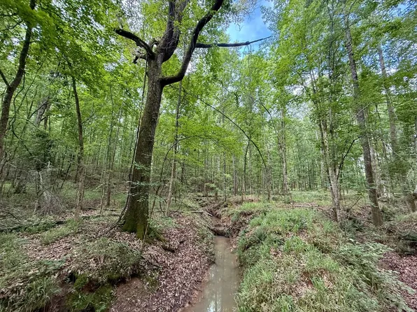 Lawdon Rd, Butler, GA 31006