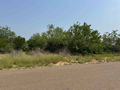 507 Penguin St, Zapata, TX, 78076