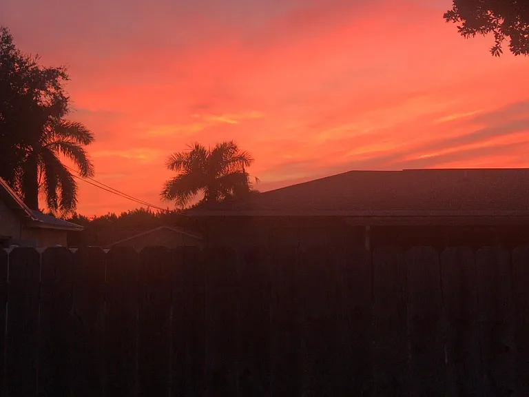 Sunset from the back screened-in patio. The house faces east/west so it gets great light and beautiful sunset views!