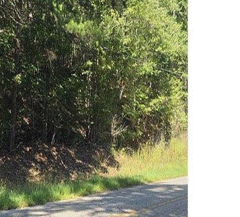 3rd image of 0 County Road 82 #2
